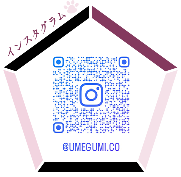 インスタグラム